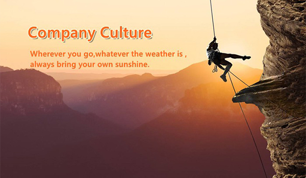 Culture d’entreprise