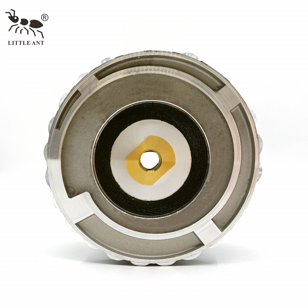 LITTLE ANT Snail Lock Support pour tampon de polissage diamant pour connexion d'outils de bloc de meulage de pierre